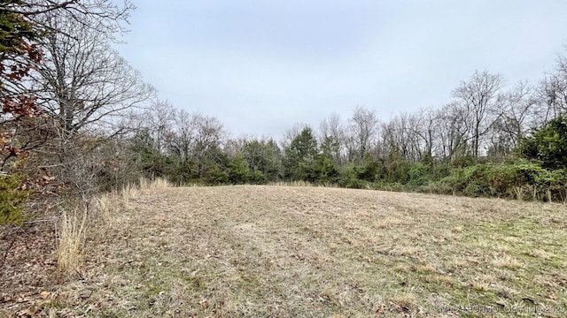 96848 S 4510th Rd, Vian, OK 74962 - view of woods