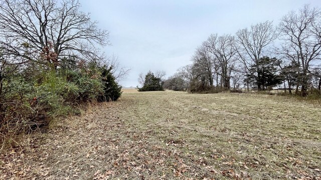96848 S 4510th Rd, Vian, OK 74962 - view of local wilderness