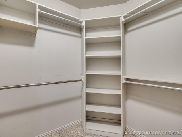 spacious closet with carpet floors