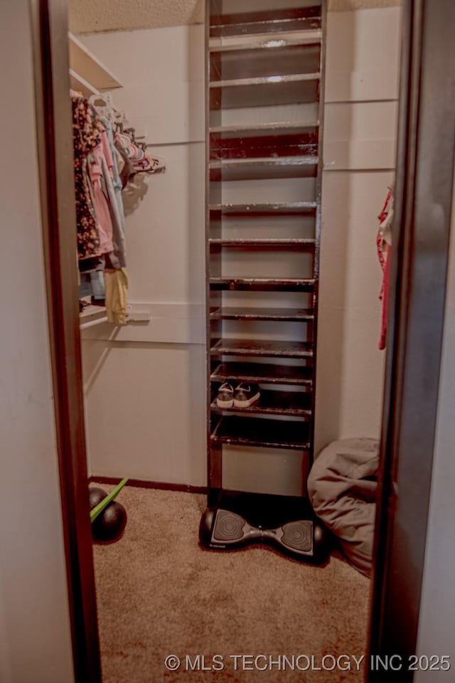 spacious closet featuring carpet floors