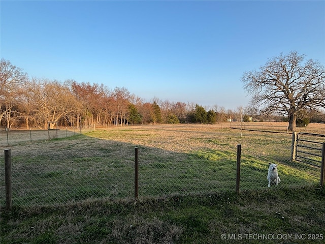 view of yard with a rural view