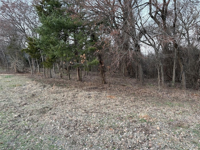 view of local wilderness