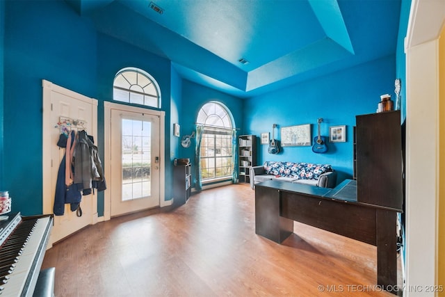 playroom featuring a raised ceiling and hardwood / wood-style floors