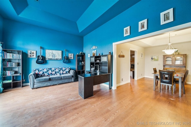 game room featuring a raised ceiling and wood-type flooring