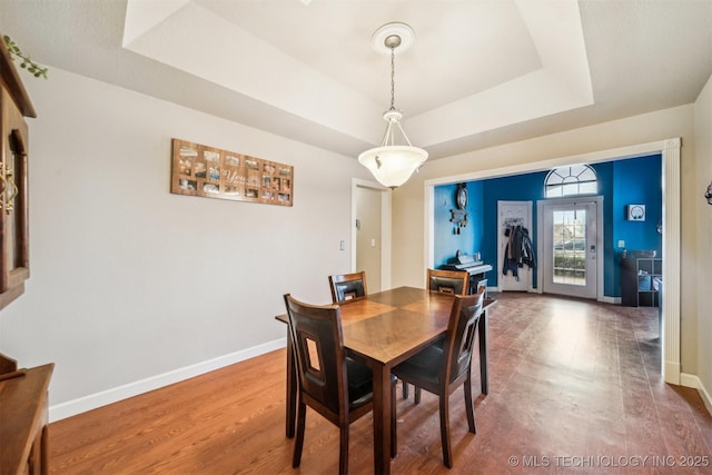 dining room with a raised ceiling and wood-type flooring