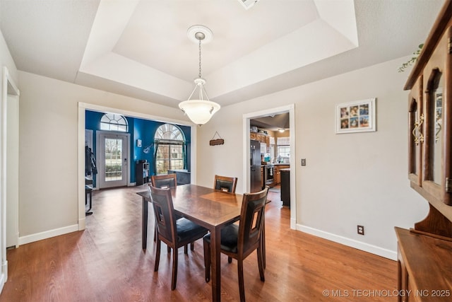 dining room featuring a raised ceiling and wood-type flooring