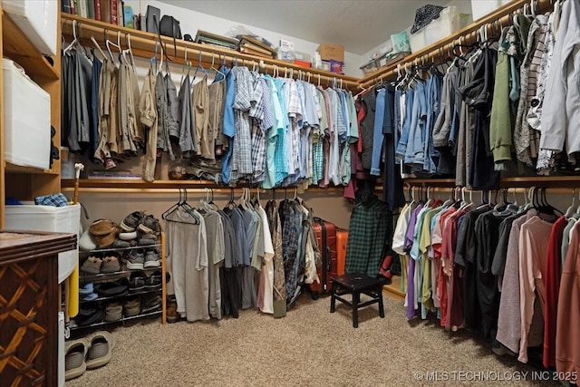 walk in closet with carpet floors