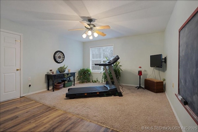 exercise area featuring ceiling fan and wood-type flooring