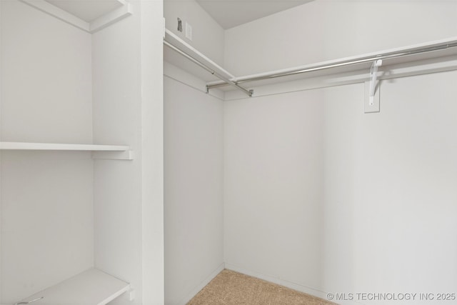 spacious closet featuring light colored carpet