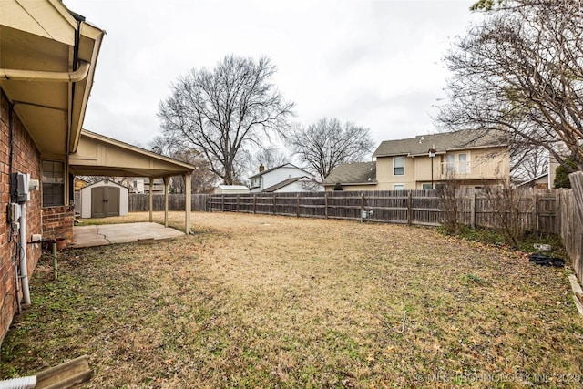 view of yard with a patio area and a storage unit