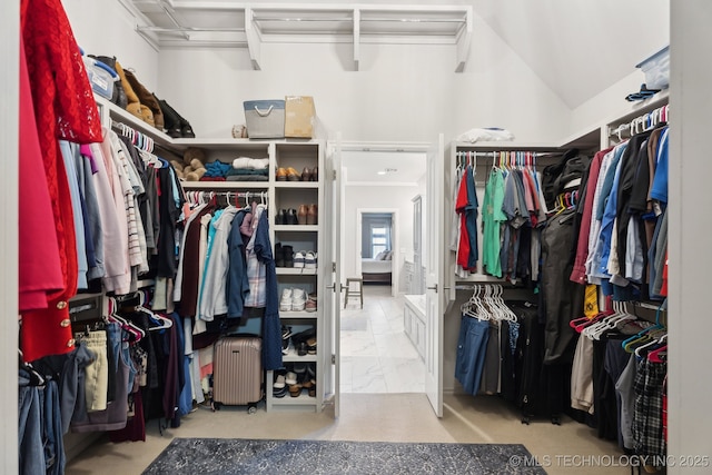 walk in closet featuring radiator and lofted ceiling