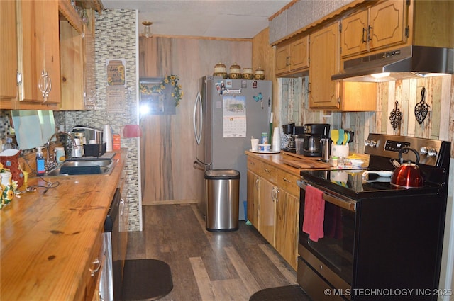 kitchen featuring butcher block countertops, sink, decorative backsplash, and stainless steel appliances