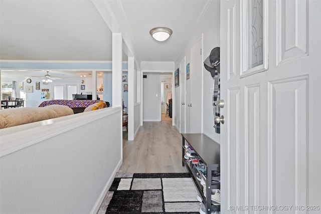 entrance foyer featuring light hardwood / wood-style flooring, ornamental molding, and ceiling fan