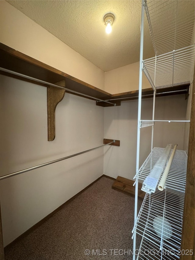 walk in closet with dark colored carpet