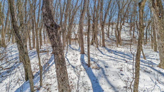 9501 S 4170th Rd, Claremore, OK 74017 - view of snowy view
