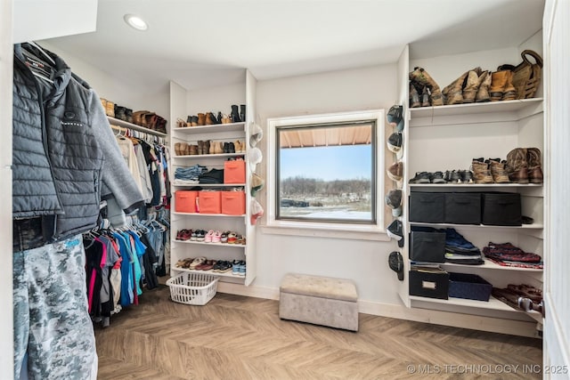 view of spacious closet