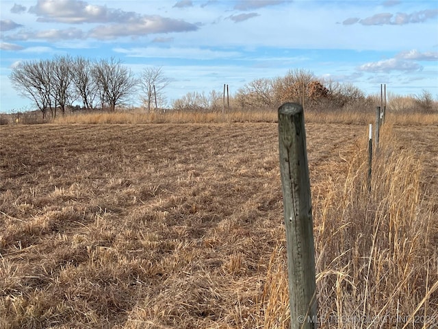 view of yard with a rural view