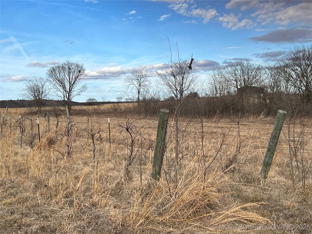 view of local wilderness with a rural view