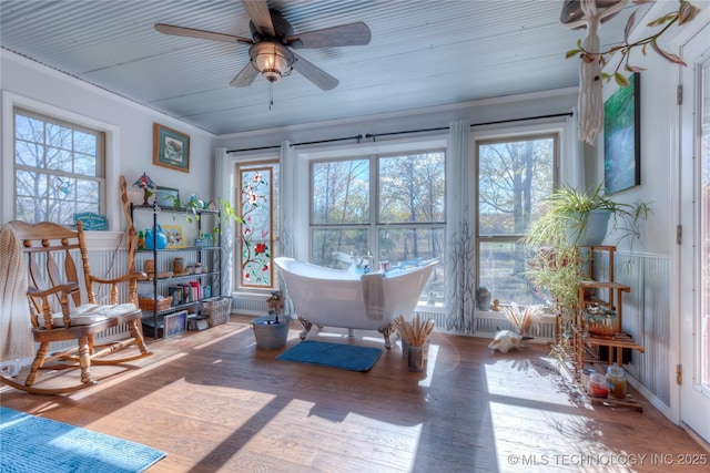 sunroom featuring ceiling fan and a healthy amount of sunlight