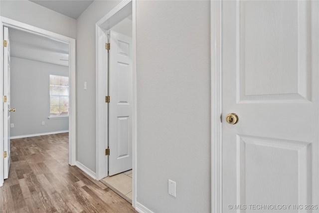 hallway featuring light hardwood / wood-style flooring