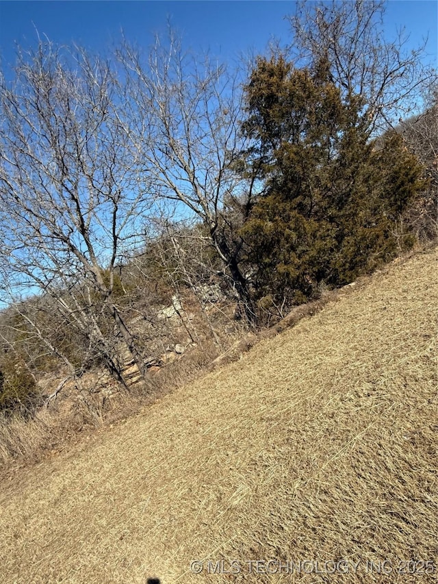 view of landscape