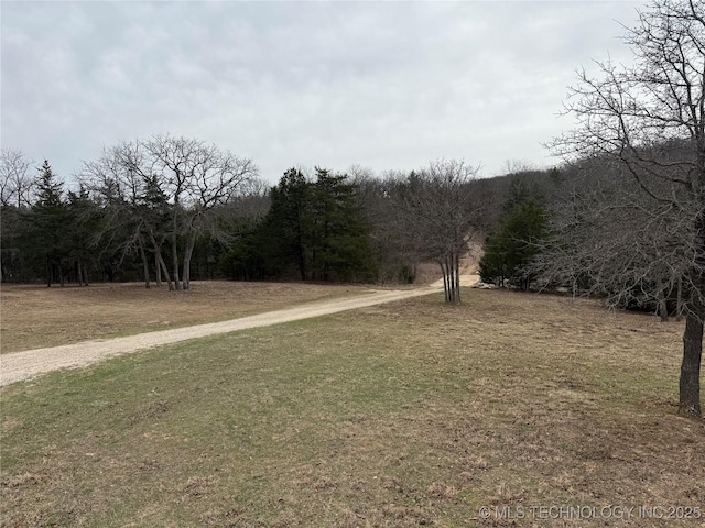 view of yard featuring a forest view
