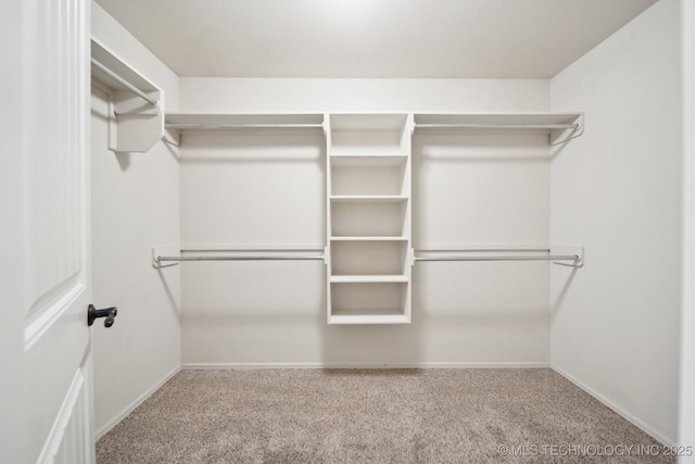 spacious closet with carpet flooring