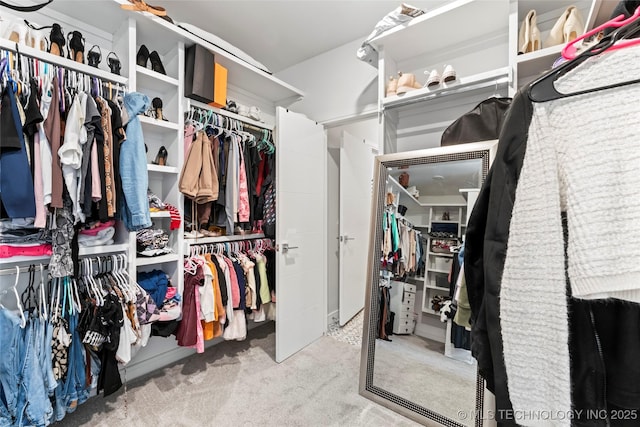 walk in closet with light colored carpet