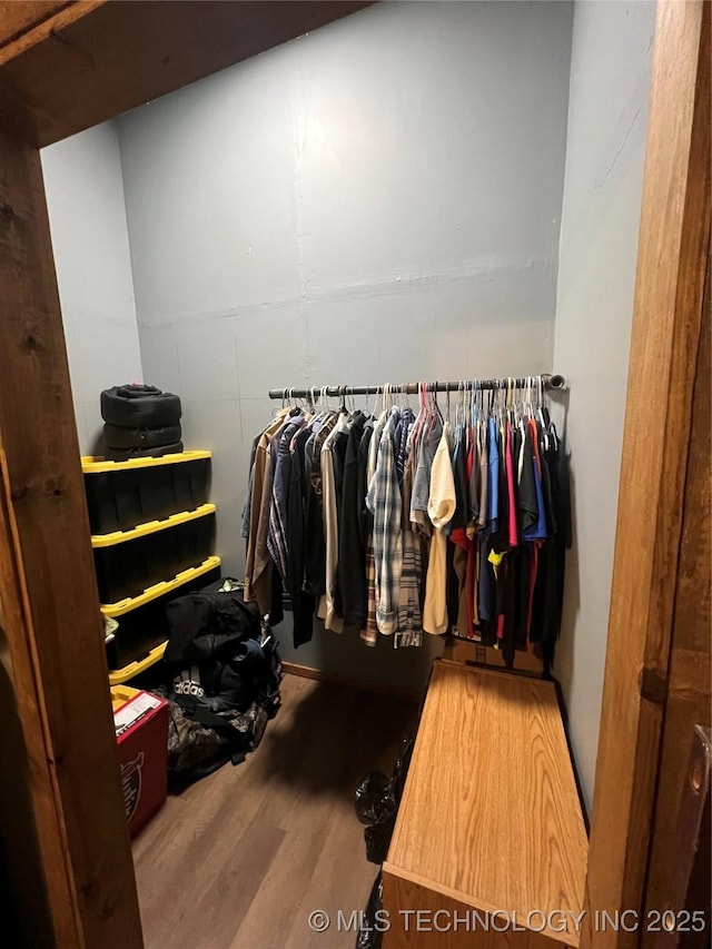 spacious closet with hardwood / wood-style floors