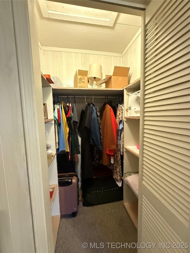 walk in closet featuring a skylight and carpet