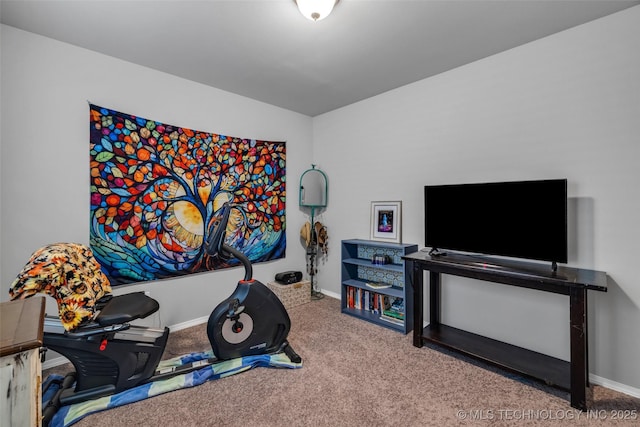 playroom featuring carpet floors