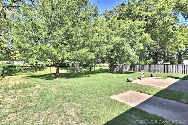 view of yard featuring a patio