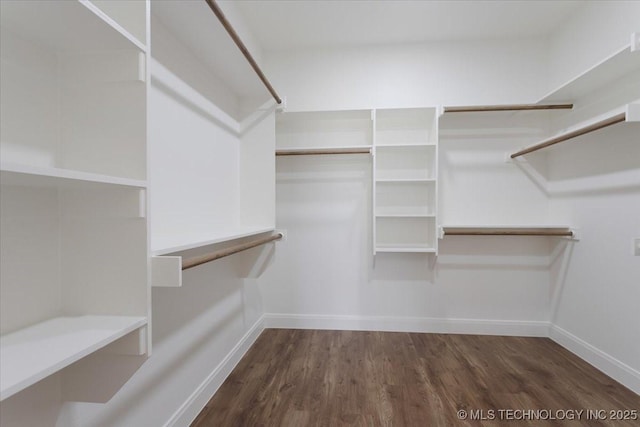 spacious closet featuring dark hardwood / wood-style floors