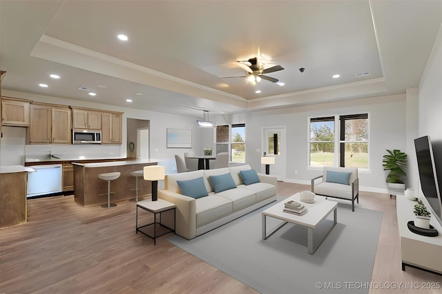 living room featuring ornamental molding, light hardwood / wood-style floors, and a raised ceiling