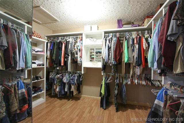 walk in closet with light wood-type flooring