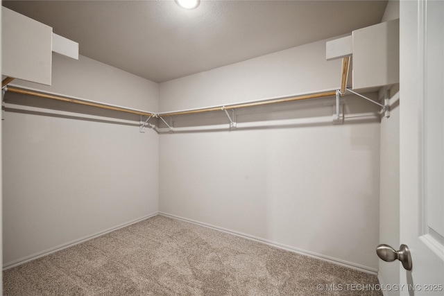 walk in closet with carpet