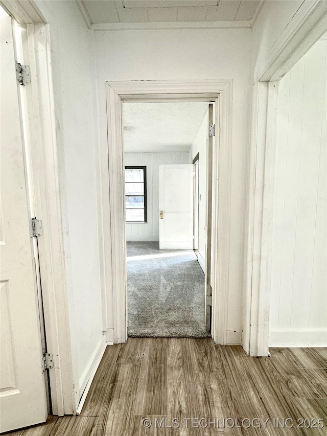 hall with hardwood / wood-style floors