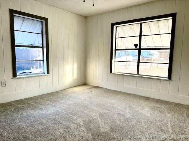 carpeted spare room featuring a textured ceiling