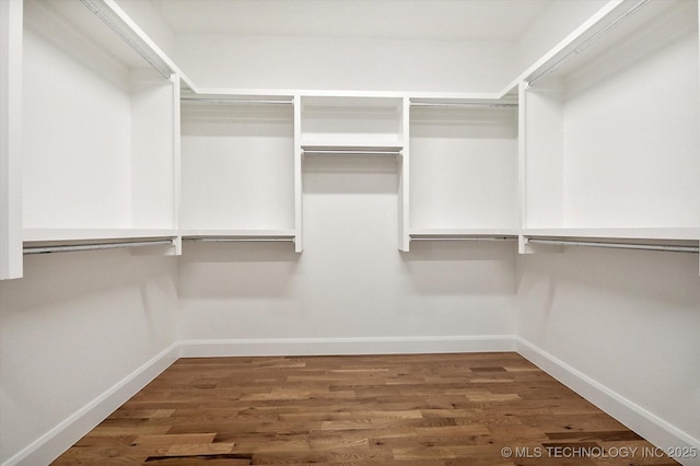 walk in closet featuring dark wood-type flooring