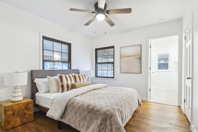 3006 E 21st St, Tulsa, OK 74114 - bedroom featuring wood finished floors, multiple windows, and ceiling fan