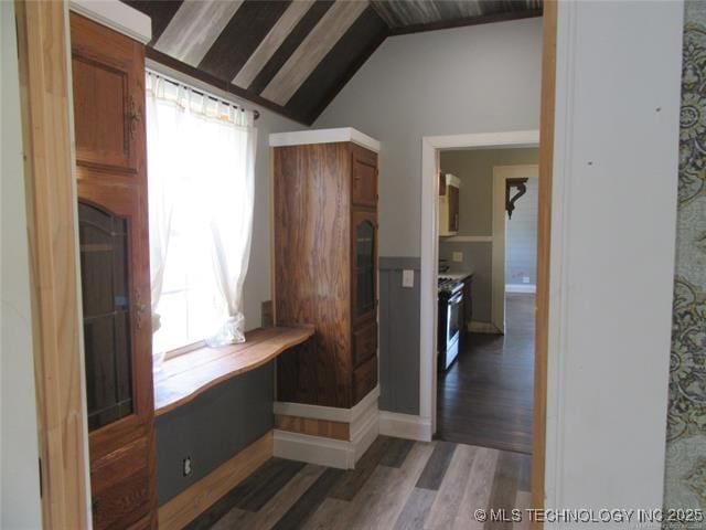 interior space featuring vaulted ceiling and dark hardwood / wood-style floors