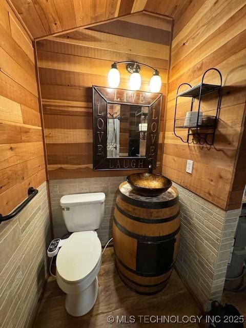 bathroom with vanity, wooden walls, wooden ceiling, and toilet