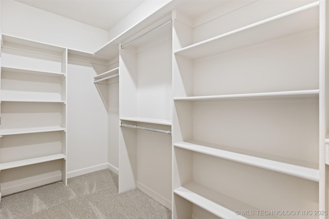 spacious closet with light colored carpet