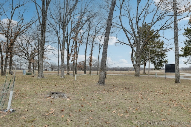 view of yard