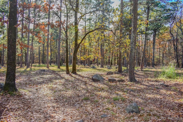 view of local wilderness