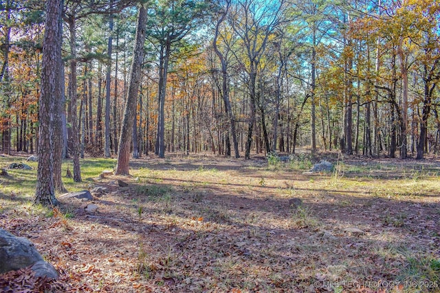 view of yard with a view of trees