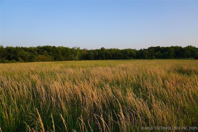 view of nature featuring a rural view