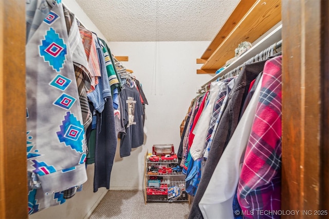 walk in closet with carpet flooring