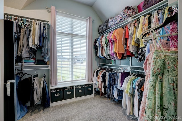 spacious closet with carpet floors and vaulted ceiling