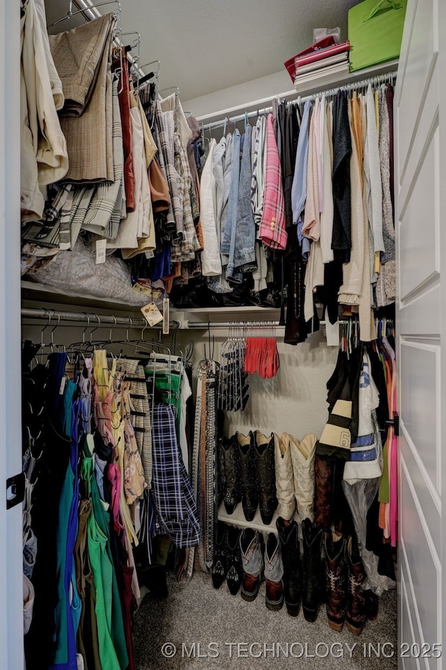 view of walk in closet